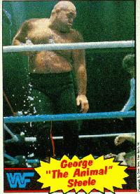 WWF Trading Cards from 1985, Cards 21 thru 30 WWF Trading Cards from 1985, Cards 21 thru 30